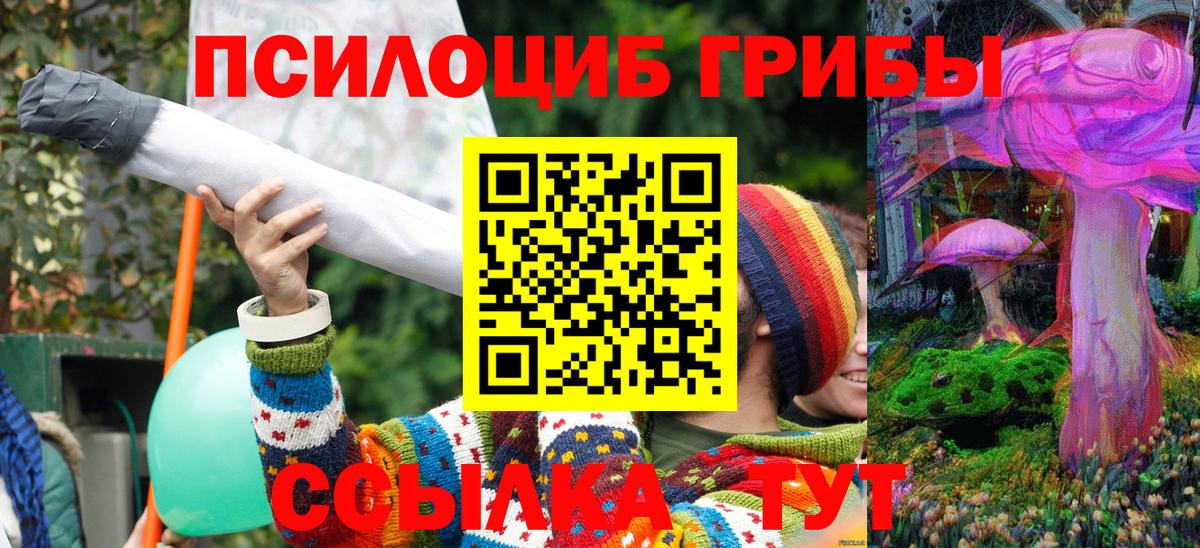 Галлюциногенные грибы GOLDEN TEACHER  Вход с VPN  Псилоцибиновые грибы прущие грибы  Пыть-Ях 